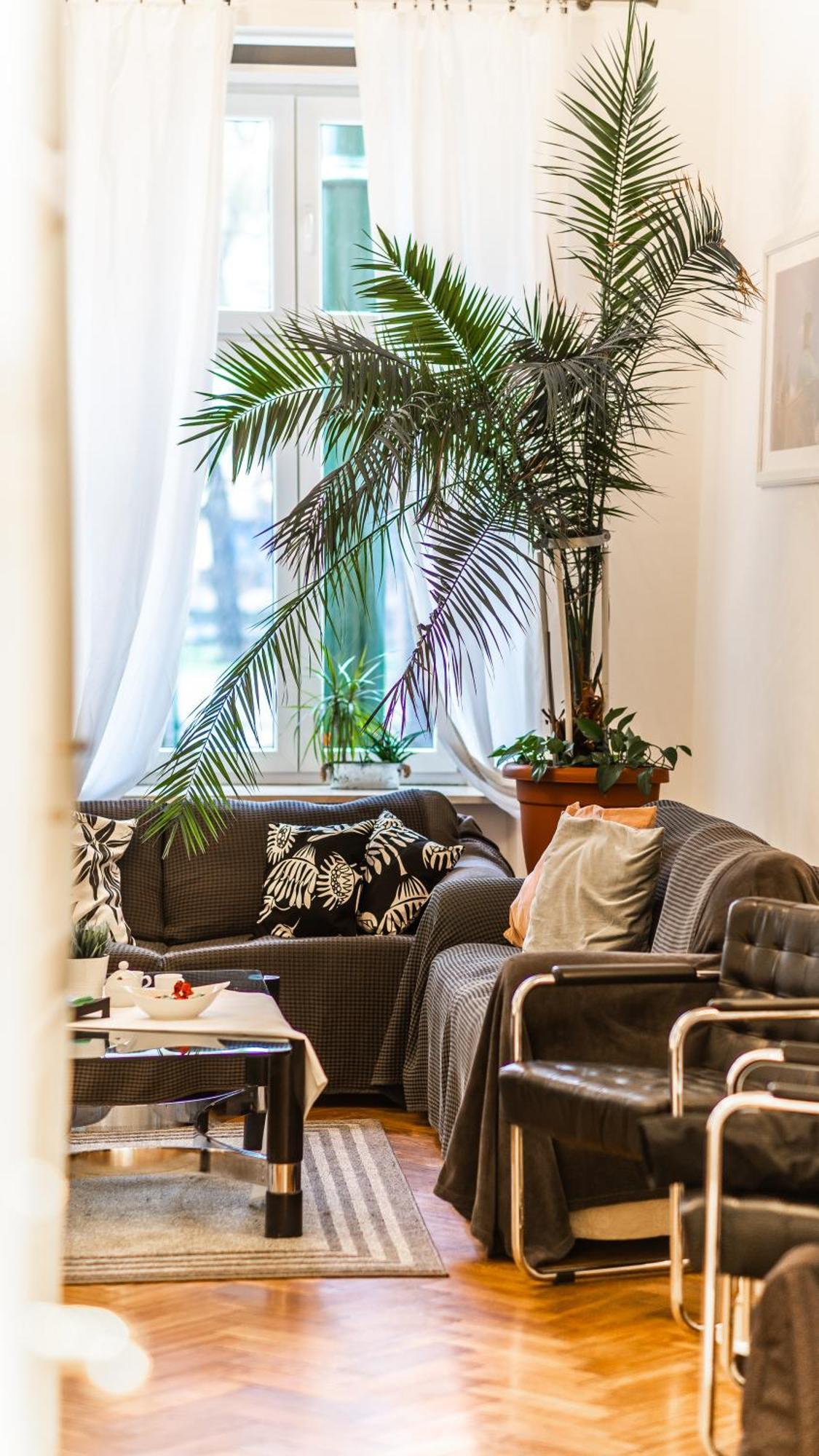 Fogra Travel Apartment Krasków Eksteriør bilde